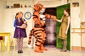 RESIZED TIGER WHO CAME TO TEAM IMAGE ASC_2713.jpg