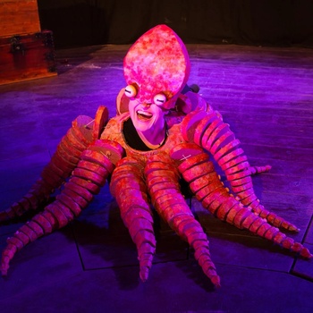 We Are Not Shellfish We Are Not Shellfish