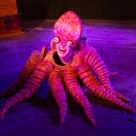 We Are Not Shellfish We Are Not Shellfish