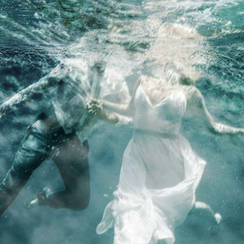 The Solid Life of Sugar Water The Solid Life of Sugar Water