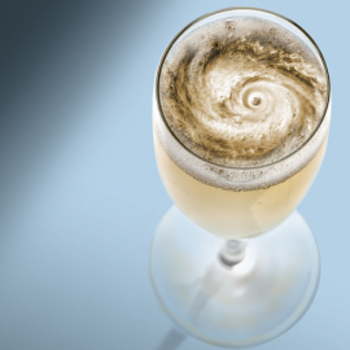 The Snail House The Snail House