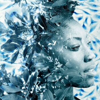 Family Tree Family Tree