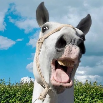 The Walworth Farce The Walworth Farce