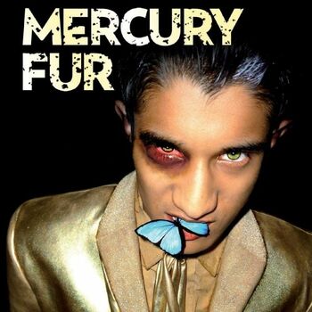 Mercury Fur Mercury Fur