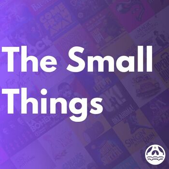 The Small Things The Small Things
