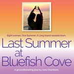 Last Summer at Bluefish Cove