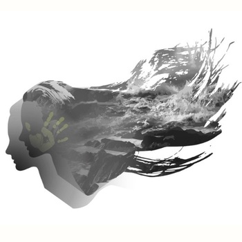 Magnolia Walls Magnolia Walls