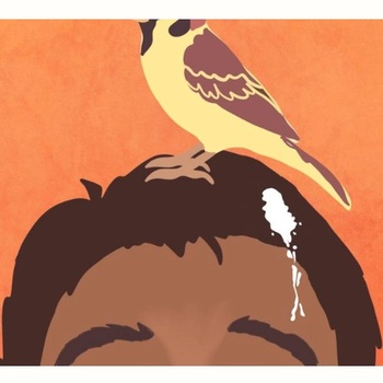 The Bird in the Window The Bird in the Window