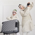 The Polar Bears Go, Go, Go! The Polar Bears Go, Go, Go!