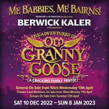 The Adventures of Old Granny Goose The Adventures of Old Granny Goose